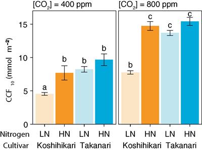 Rice Cultivar Takanari Has Higher Photosynthetic Performance Under Fluctuating Light Than Koshihikari, Especially Under Limited Nitrogen Supply and Elevated CO2